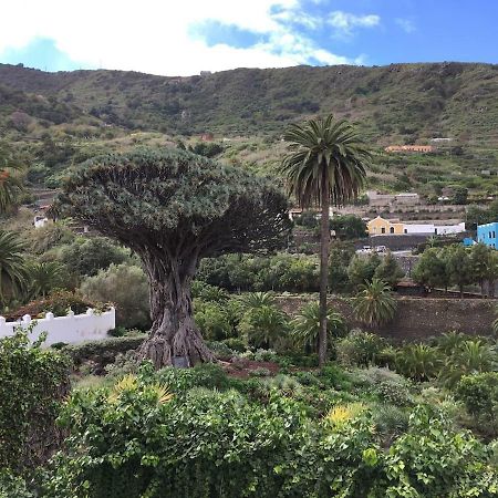 #Ocean View Studio #Wifi Icod De Los Vinos Exterior photo